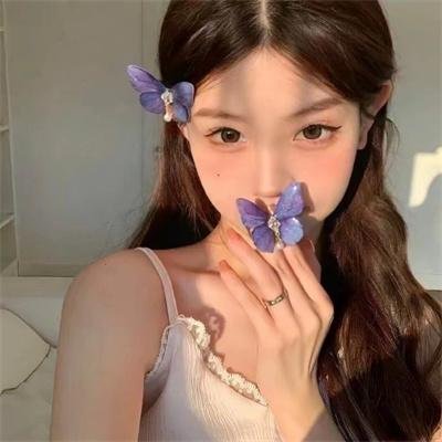 新十二生肖